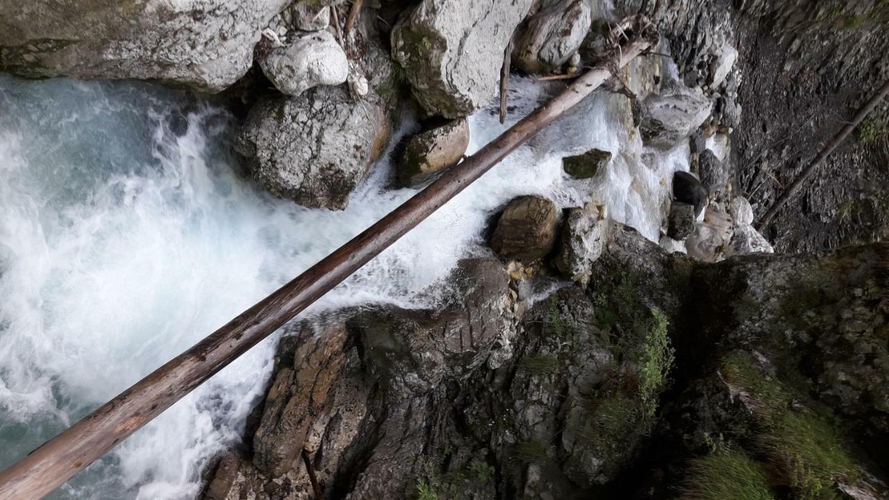 Apartma Pika Mojstrana Exteriör bild